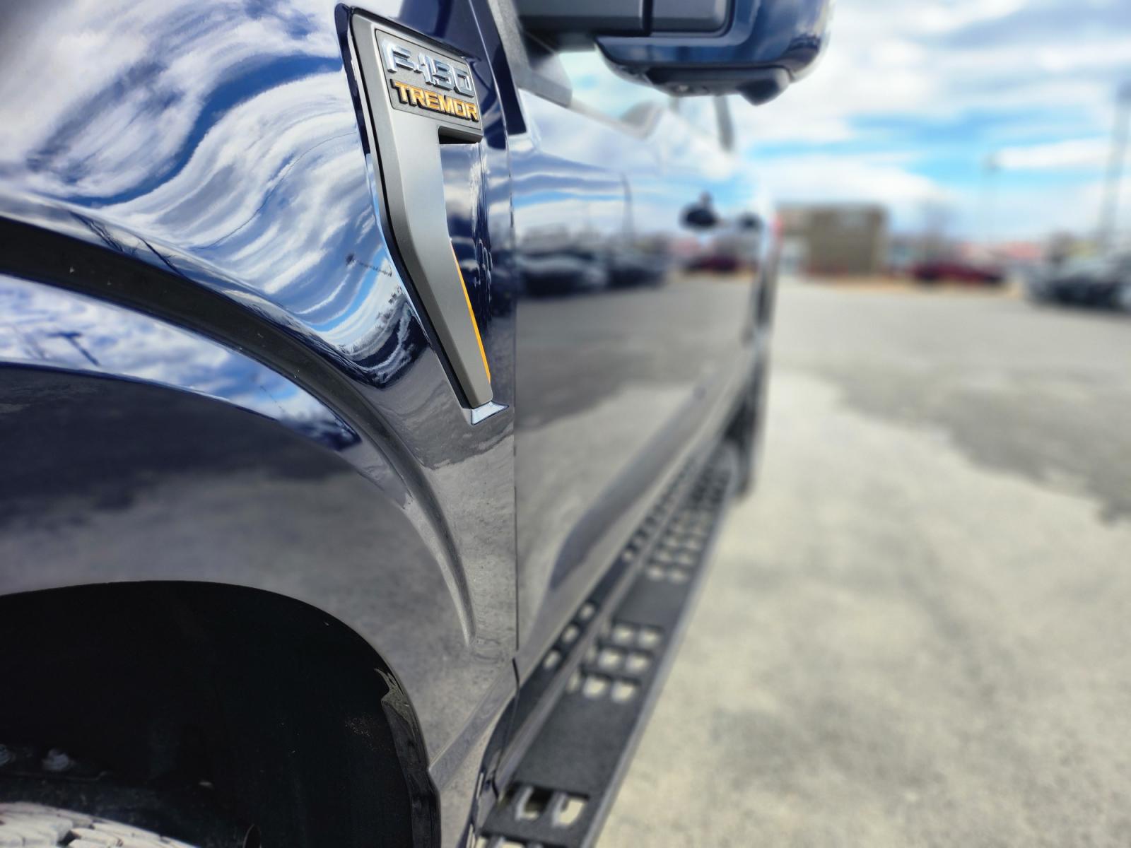 2022 BLUE /BLACK FORD F-150 TREMOR (1FTEW1E81NF) with an 3.5L engine, Automatic transmission, located at 1960 Industrial Drive, Wasilla, 99654, (907) 274-2277, 61.573475, -149.400146 - Photo #9